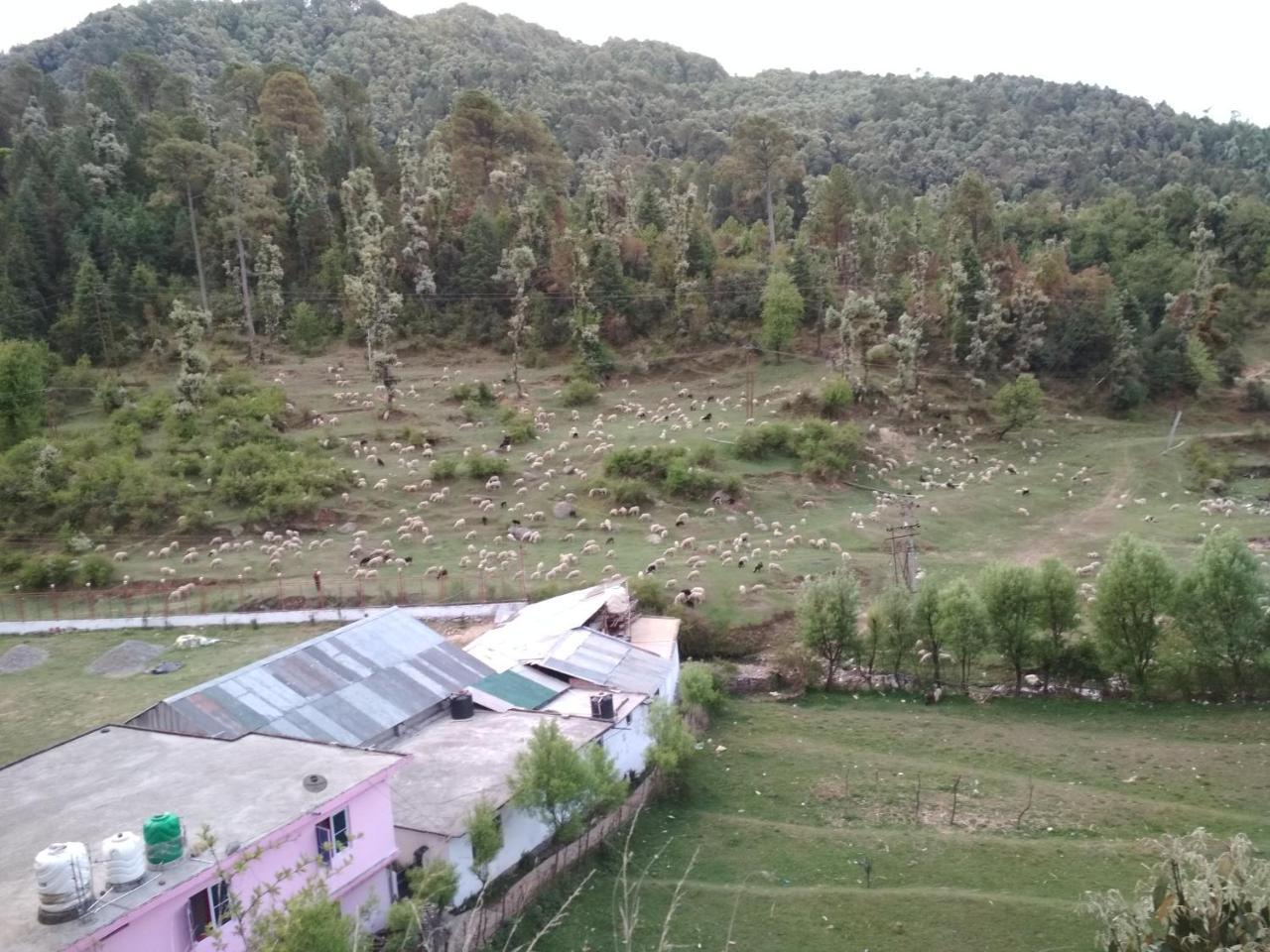 Bholenath Homestay Dalhousie Exteriér fotografie